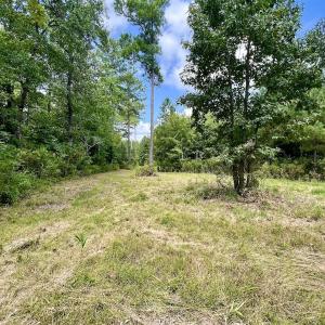 Photo #9 of 1596 Middle Swamp Rd, Corapeak, NC 149.9 acres