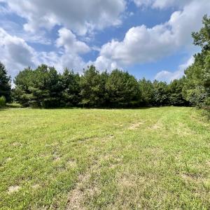 Photo #43 of 1596 Middle Swamp Rd, Corapeak, NC 149.9 acres
