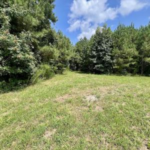 Photo #44 of 1596 Middle Swamp Rd, Corapeak, NC 149.9 acres