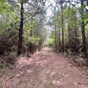 Photo #51 of 1596 Middle Swamp Rd, Corapeak, NC 149.9 acres