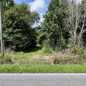 Photo #55 of 1596 Middle Swamp Rd, Corapeak, NC 149.9 acres