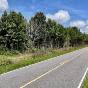 Photo #56 of 1596 Middle Swamp Rd, Corapeak, NC 149.9 acres