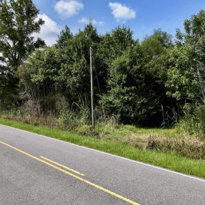 Photo #57 of 1596 Middle Swamp Rd, Corapeak, NC 149.9 acres