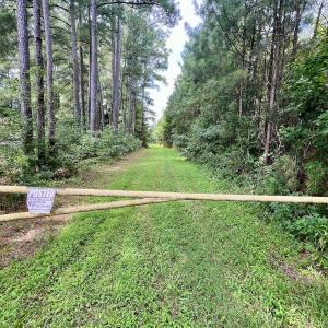 Photo #60 of 1596 Middle Swamp Rd, Corapeak, NC 149.9 acres