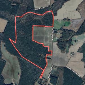 Photo #63 of 1596 Middle Swamp Rd, Corapeak, NC 149.9 acres