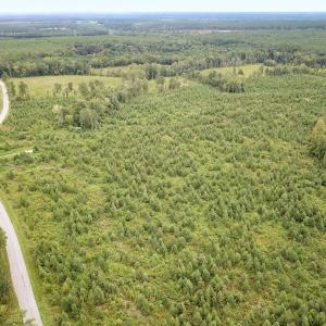 Photo #1 of 93 AC Zero Rd, warfield, VA 93.0 acres
