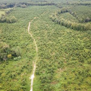 Photo #5 of 93 AC Zero Rd, warfield, VA 93.0 acres