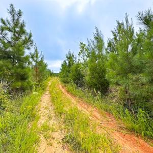 Photo #6 of 93 AC Zero Rd, warfield, VA 93.0 acres