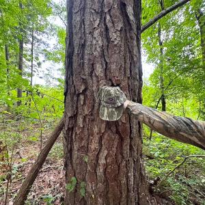 Photo #7 of 93 AC Zero Rd, warfield, VA 93.0 acres