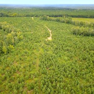 Photo #9 of 93 AC Zero Rd, warfield, VA 93.0 acres