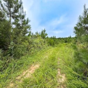 Photo #15 of 93 AC Zero Rd, warfield, VA 93.0 acres