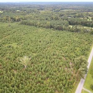 Photo #17 of 93 AC Zero Rd, warfield, VA 93.0 acres