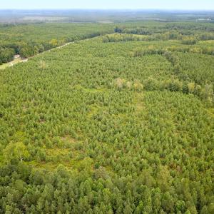 Photo #22 of 93 AC Zero Rd, warfield, VA 93.0 acres