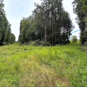 Photo #23 of 93 AC Zero Rd, warfield, VA 93.0 acres