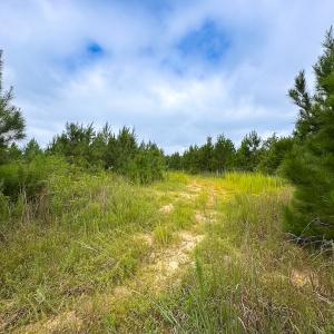 Photo #25 of 93 AC Zero Rd, warfield, VA 93.0 acres