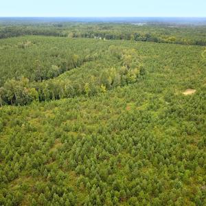 Photo #26 of 93 AC Zero Rd, warfield, VA 93.0 acres