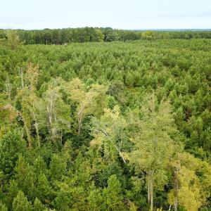 Photo #27 of 93 AC Zero Rd, warfield, VA 93.0 acres