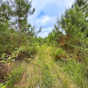 Photo #28 of 93 AC Zero Rd, warfield, VA 93.0 acres