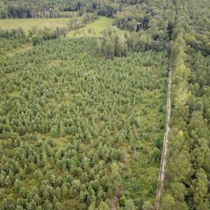 Photo #30 of 93 AC Zero Rd, warfield, VA 93.0 acres