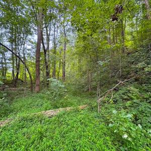 Photo #31 of 93 AC Zero Rd, warfield, VA 93.0 acres