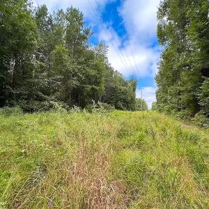 Photo #32 of 93 AC Zero Rd, warfield, VA 93.0 acres