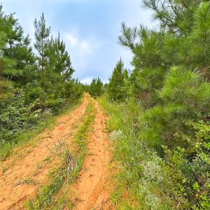 Photo #33 of 93 AC Zero Rd, warfield, VA 93.0 acres