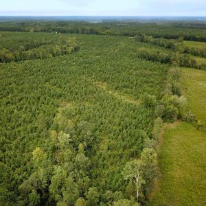 Photo #34 of 93 AC Zero Rd, warfield, VA 93.0 acres