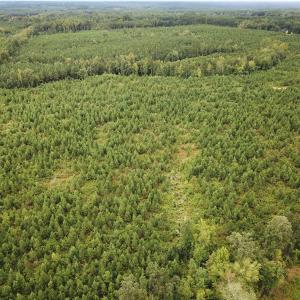 Photo #37 of 93 AC Zero Rd, warfield, VA 93.0 acres