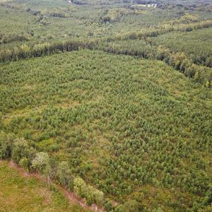 Photo #42 of 93 AC Zero Rd, warfield, VA 93.0 acres