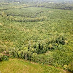 Photo #44 of 93 AC Zero Rd, warfield, VA 93.0 acres