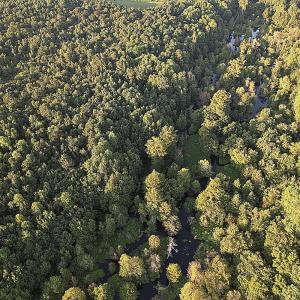 Photo #9 of Off Hwy 903, Albertson, NC 24.2 acres