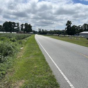 Photo #10 of Off Hwy 903, Albertson, NC 24.2 acres