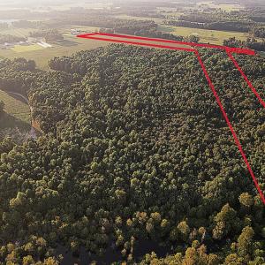 Photo #2 of Off Hwy 903, Albertson, NC 24.2 acres