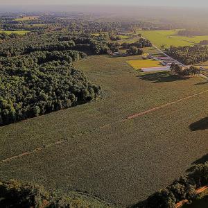 Photo #3 of Off Hwy 903, Albertson, NC 24.2 acres