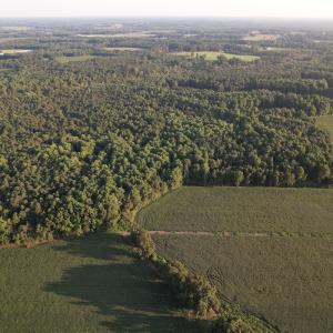 Photo #4 of Off Hwy 903, Albertson, NC 24.2 acres
