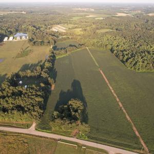 Photo #5 of Off Hwy 903, Albertson, NC 24.2 acres