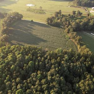 Photo #6 of Off Hwy 903, Albertson, NC 24.2 acres