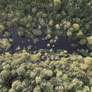 Photo #7 of Off Hwy 903, Albertson, NC 24.2 acres