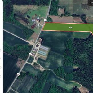 Photo #24 of Off Hwy 903, Albertson, NC 24.2 acres