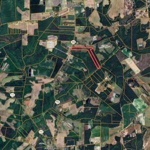 Photo #25 of Off Hwy 903, Albertson, NC 24.2 acres