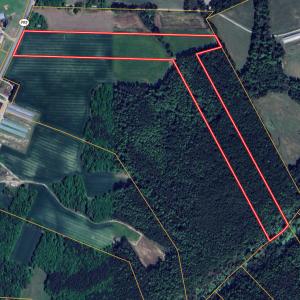 Photo #26 of Off Hwy 903, Albertson, NC 24.2 acres