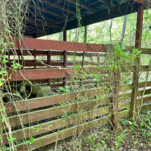 Photo #10 of 624 Dismal Road, Hallsboro, NC 32.2 acres