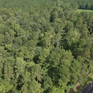 Photo #13 of 624 Dismal Road, Hallsboro, NC 32.2 acres