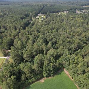 Photo #17 of 624 Dismal Road, Hallsboro, NC 32.2 acres