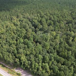 Photo #2 of 624 Dismal Road, Hallsboro, NC 32.2 acres