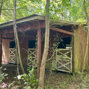 Photo #7 of 624 Dismal Road, Hallsboro, NC 32.2 acres