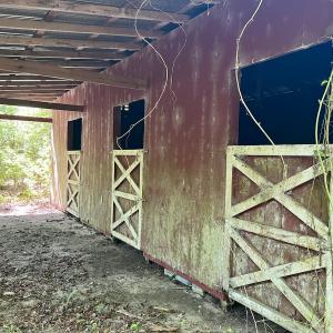 Photo #8 of 624 Dismal Road, Hallsboro, NC 32.2 acres