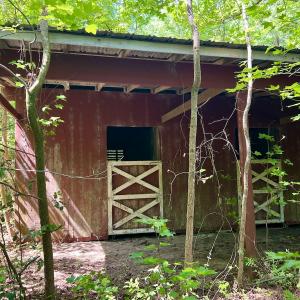 Photo #9 of 624 Dismal Road, Hallsboro, NC 32.2 acres
