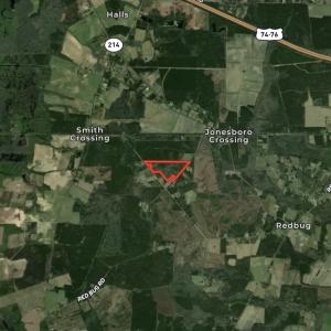 Photo #38 of 624 Dismal Road, Hallsboro, NC 32.2 acres