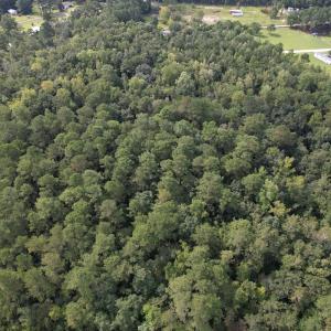 Photo #22 of 624 Dismal Road, Hallsboro, NC 32.2 acres